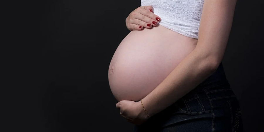 nutricion y alimentacion en el embarazo